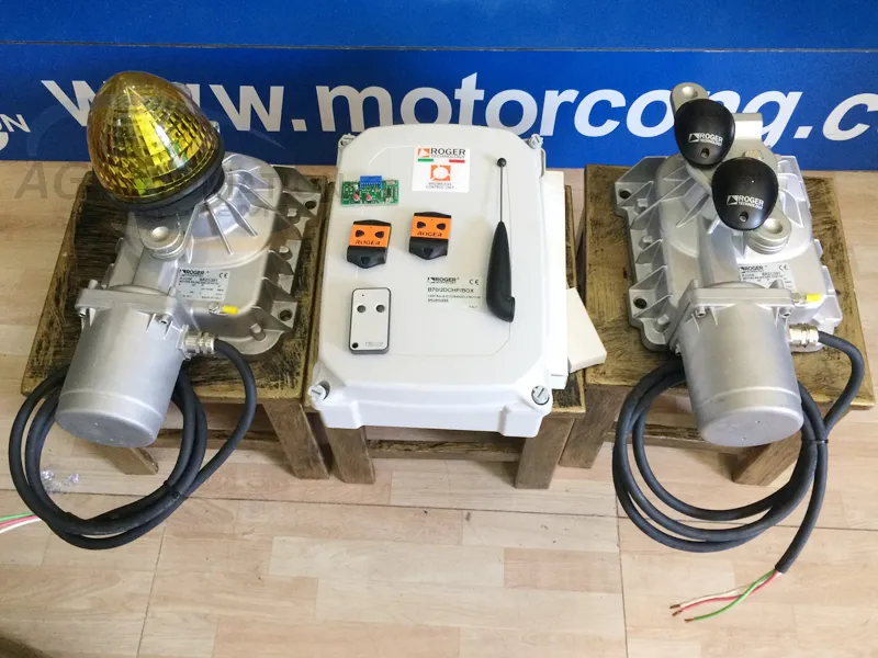 Motor cổng âm sàn Roger Brushless